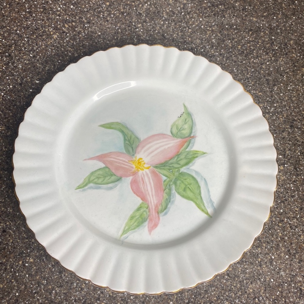 Royal Stafford Spring‎ Floral Porcelain Dinner Plate